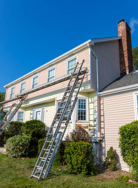 Best Carpet Removal and Disposal  in Frisco City, AL
