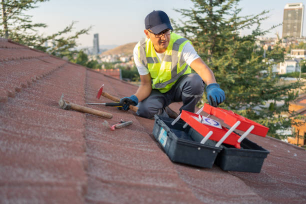 Best Same-Day Junk Removal Services  in Frisco City, AL